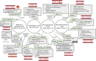 Eicosanoids in inflammation in the blood and the vessel